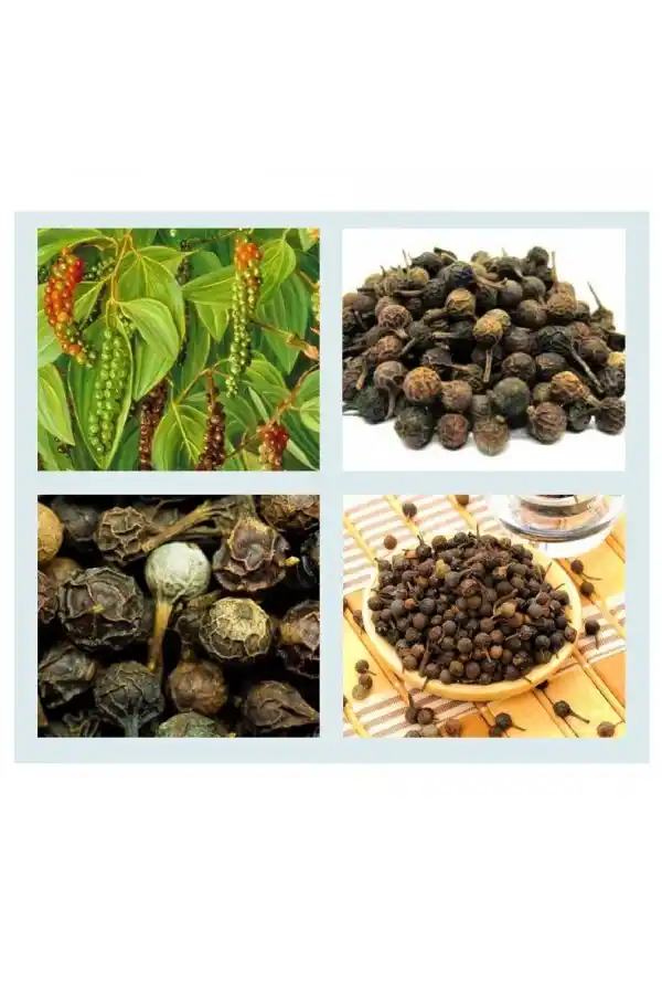 Kebabiye, Kebabe, Fructus Cubebae 100 gr, Derya Eren