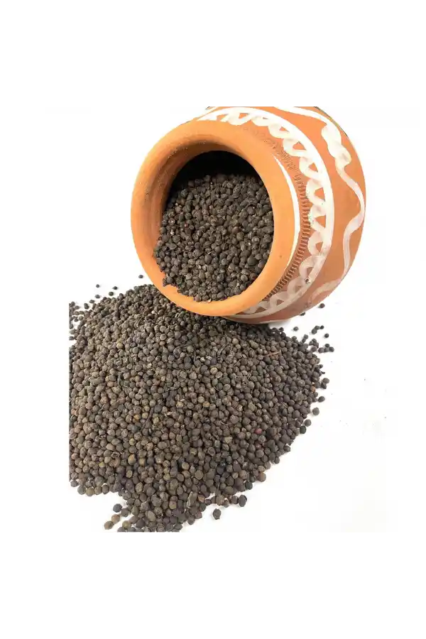 Kebabiye, Kebabe, Fructus Cubebae 100 gr, Derya Eren