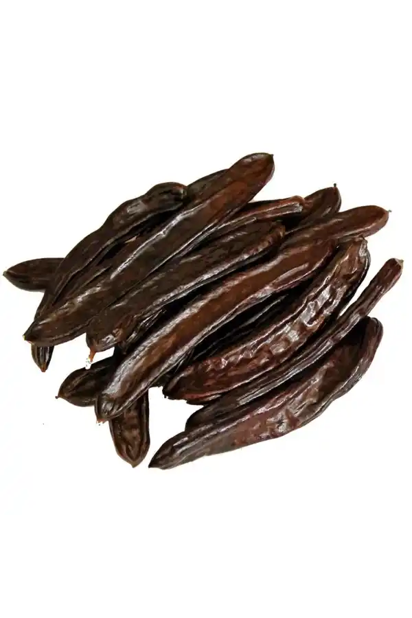 Keçiboynuzu Alanya Kiriş Bölgesinden 100 gr, Derya Eren