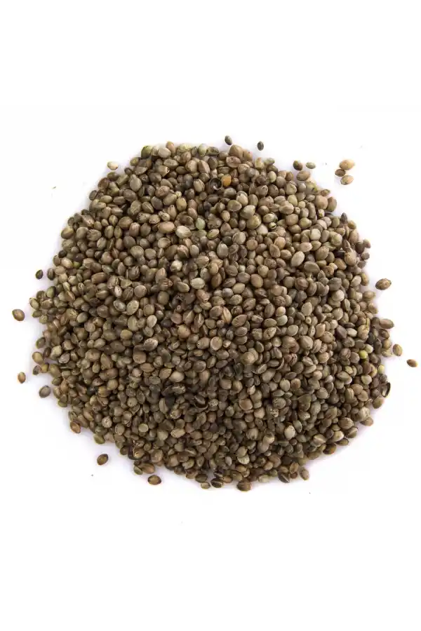 Kendir, Çedene Tohumu 100 gr, Derya Eren