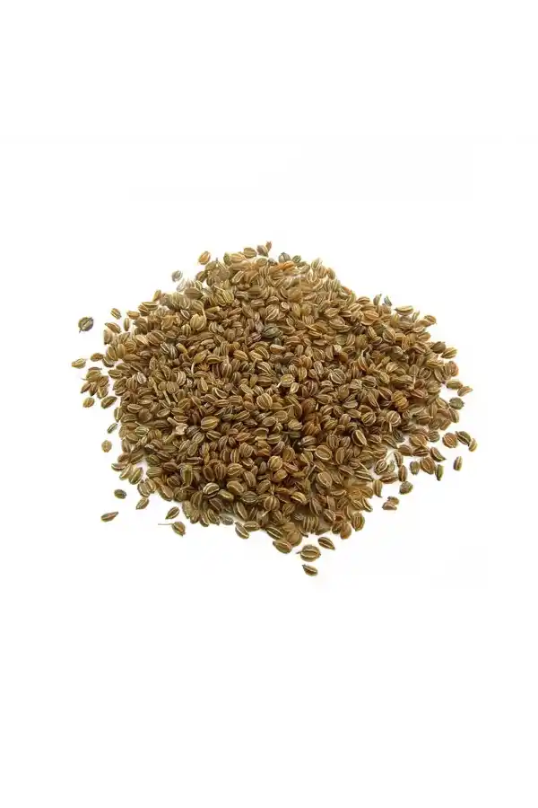 Kereviz Tohumu 1 kg (Celery Seeds)