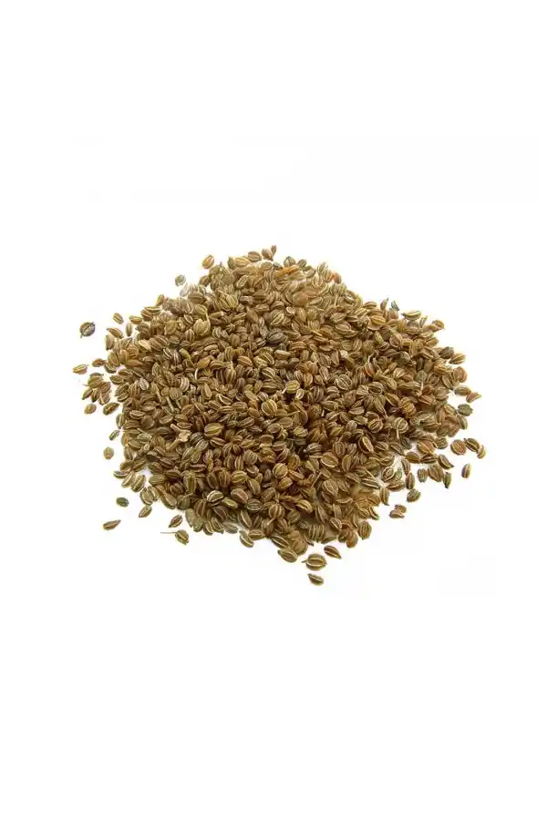 Kereviz Tohumu 100 gr (Celery Seeds)