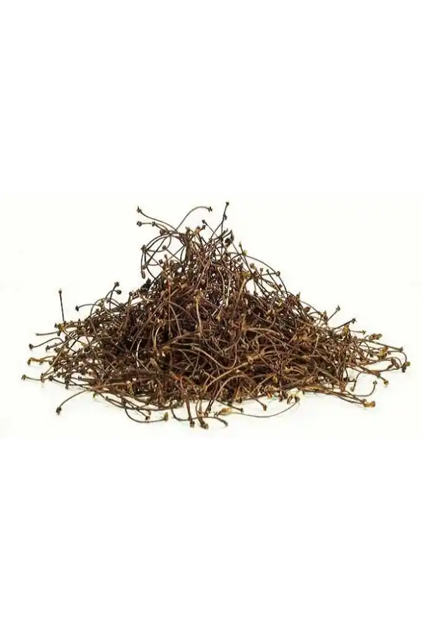 Kiraz Sapı 25 Gr 1Adet, Lokman Aktar