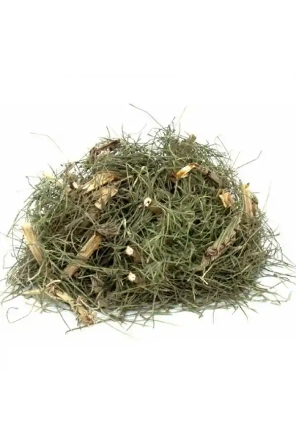 Kırkkilit Otu At Kuyruğu Bitkisi 100 gr, Derya Eren