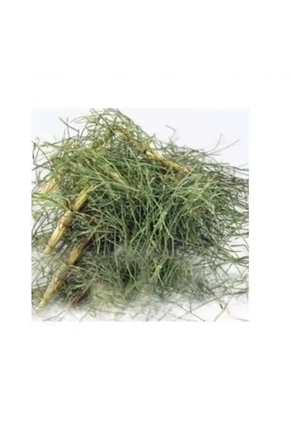 Kırkkilit Otu At Kuyruğu Bitkisi 100 gr, Derya Eren