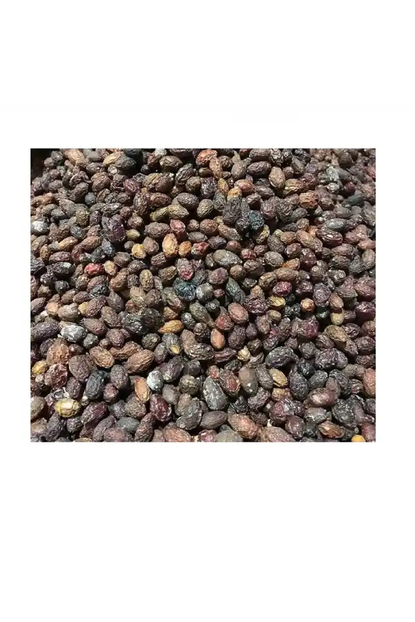 Kızılcık Kurusu (Cornus mas) 100 gr, Derya Eren