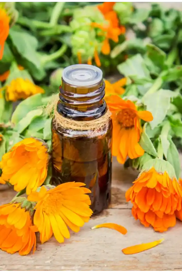 Aynı Sefa Yağı 20 Cc Aynısefa, Lokman Aktar