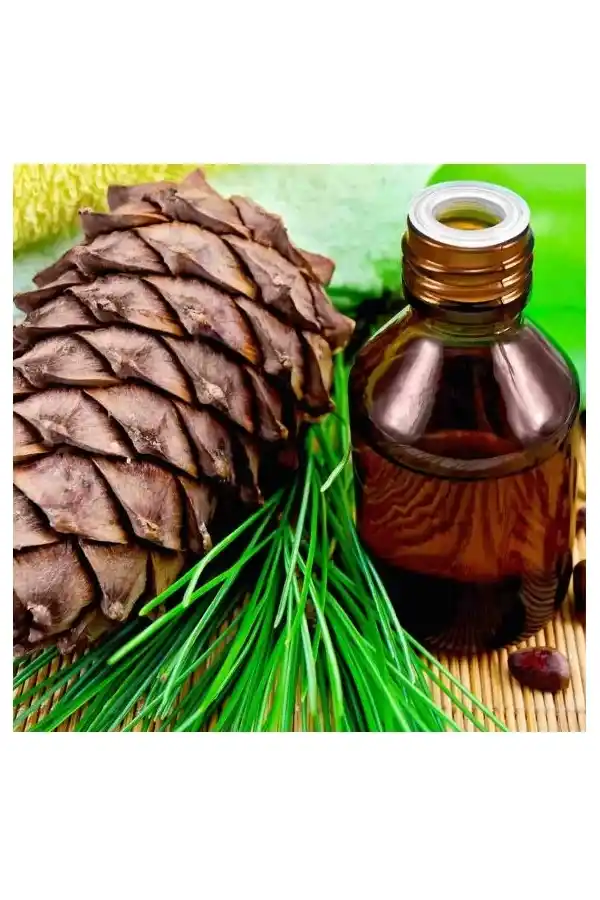 Çam Yağı 20 Cc 1Adet, Lokman Aktar