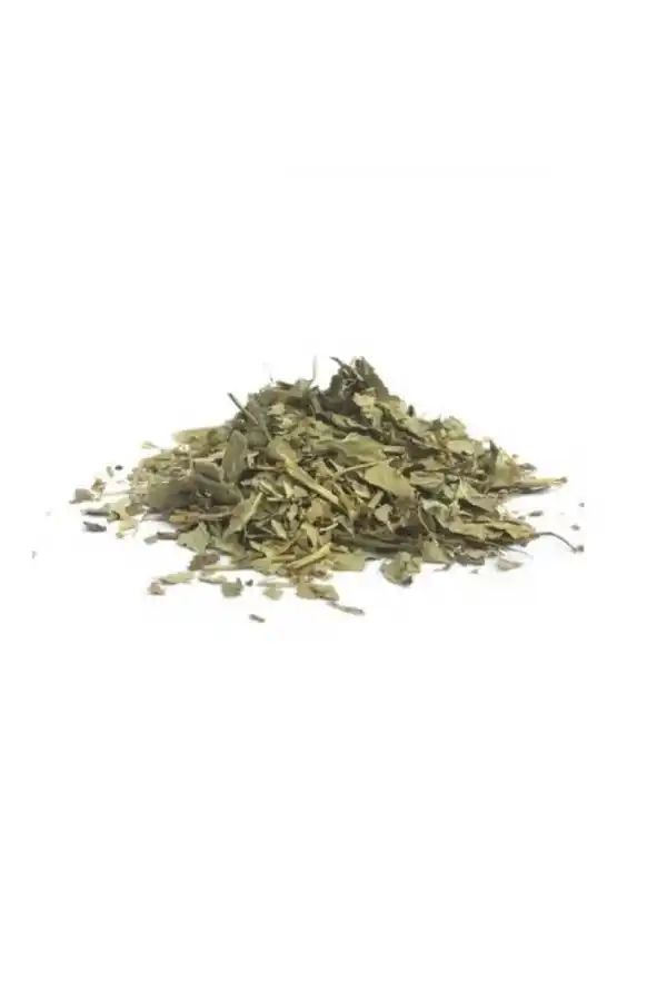 Testere Yapraklı Aslan Pençesi 50 gr, Derya Eren