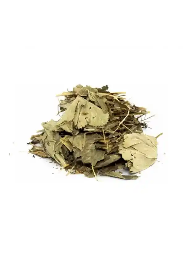 Testere Yapraklı Aslan Pençesi 50 gr, Derya Eren