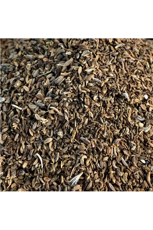 Maydanoz Tohumu Petroselinum Crispum 100 gr, Derya Eren