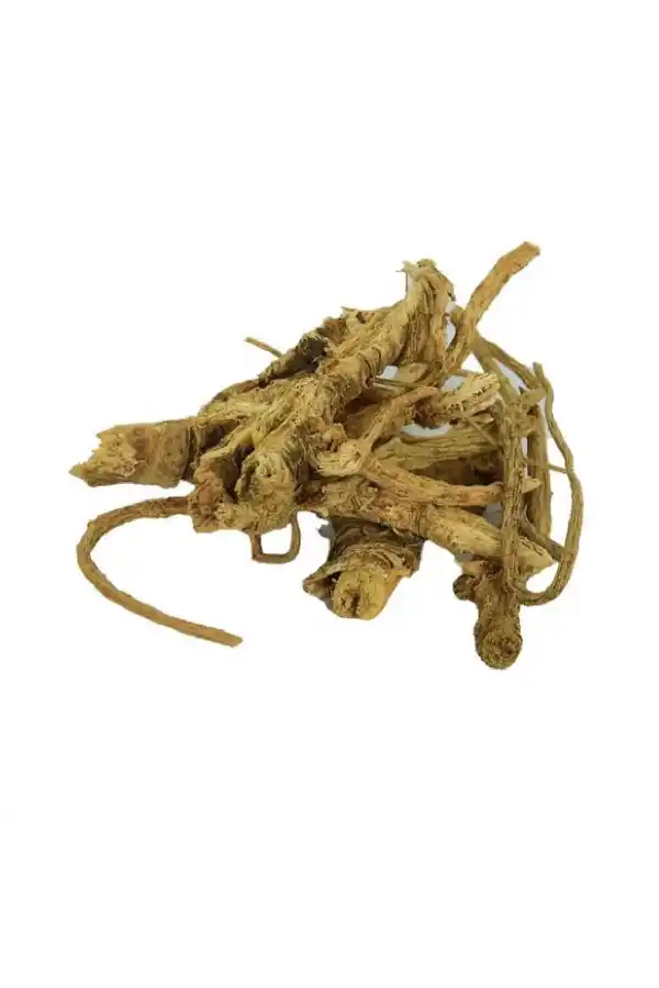 Melek Otu 100 Gr (Angelica archangelica)