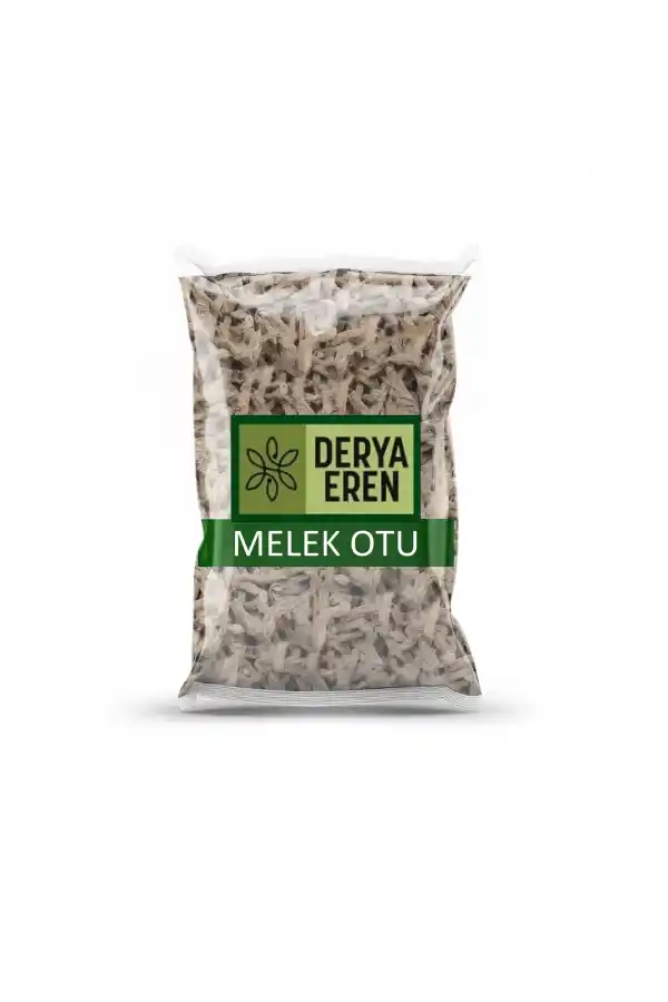 Melek Otu 100 Gr (Angelica archangelica)