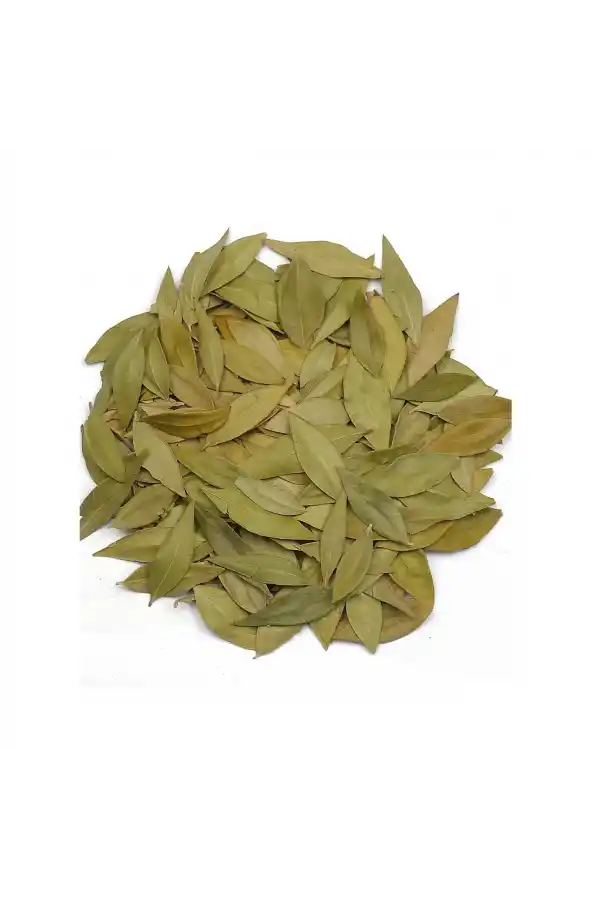 Mersin Yaprağı Myrtus communis 100 gr, Derya Eren