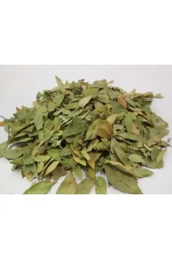 Mersin Yaprağı 35 Gr, Lokman Aktar