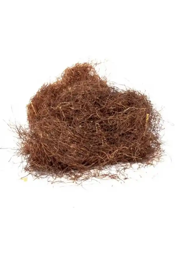 Mısır Püskülü 20 Gr, Derya Eren