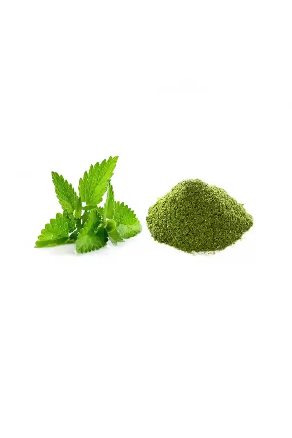 Nane Toz Mint 100 gr, Derya Eren