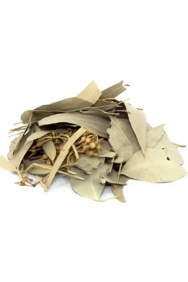 Okaliptus Yaprağı 25 Gr, Lokman Aktar