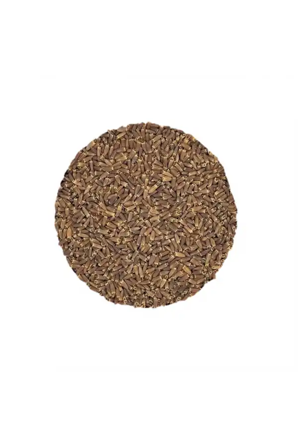Pelemir Tohumu (Cephalaria syriaca L.) 500gr, Derya Eren