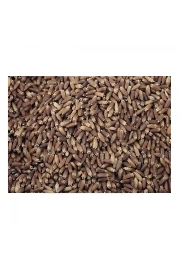 Pelemir Tohumu (Cephalaria syriaca L.) 500gr, Derya Eren