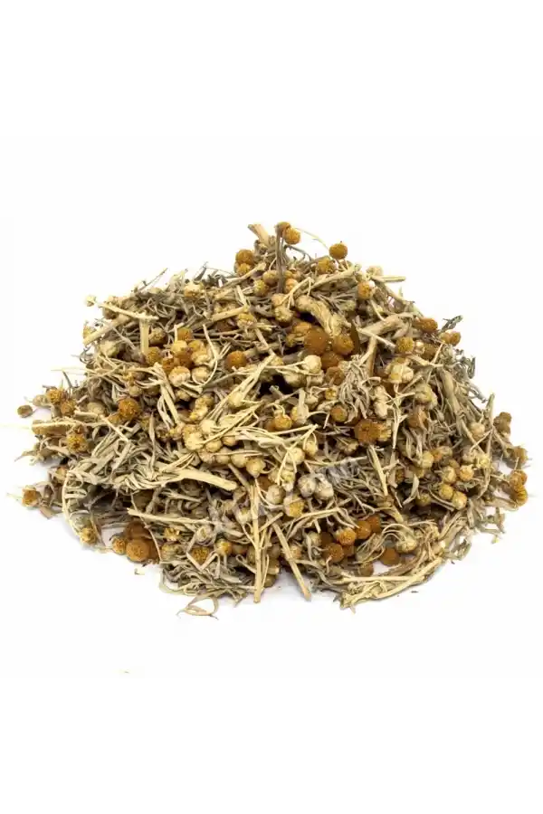 Pelin Otu Artemisia absinthium 100 gr, Derya Eren