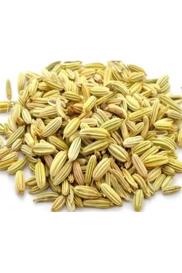 Rezene (Foeniculum vulgare) 100 gr, Derya Eren