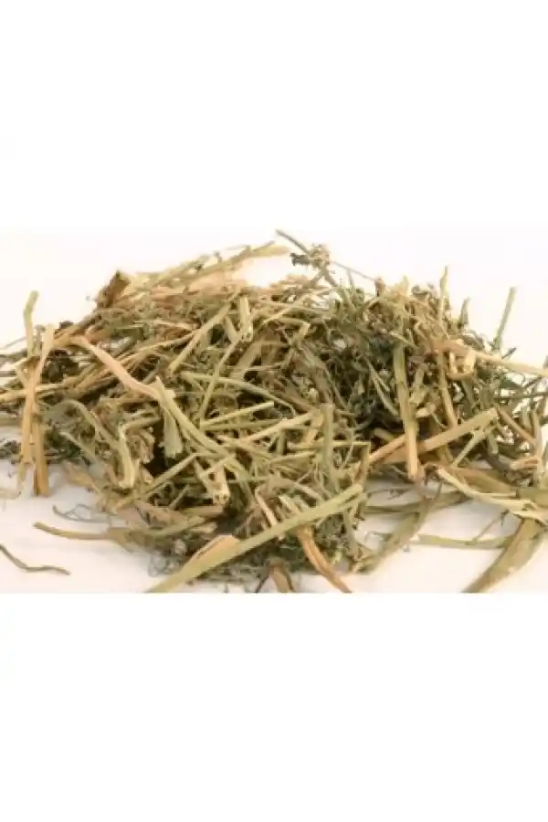 Şahtere 25 gr, Derya Eren