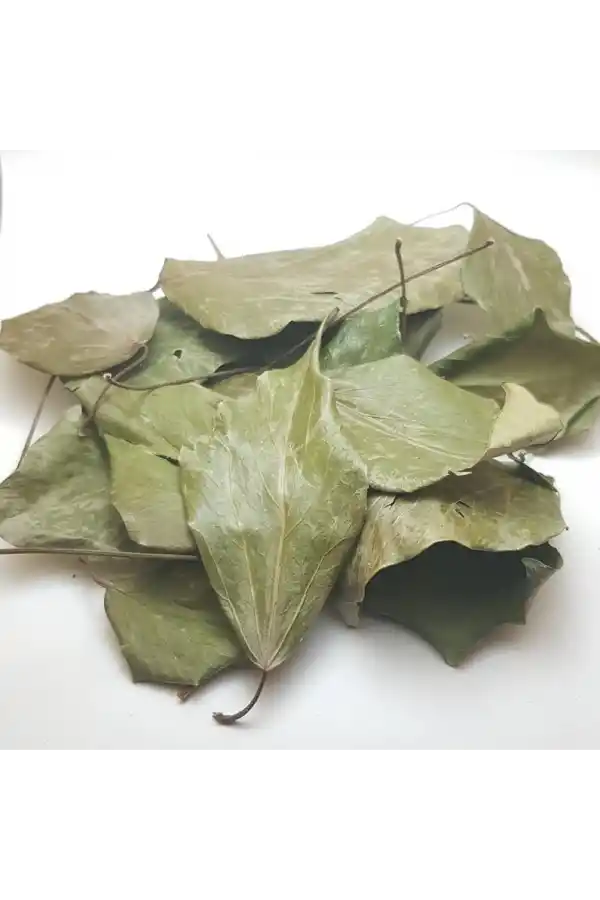 Sarmaşık Yaprağı Hedera Semen 100 gr, Derya Eren