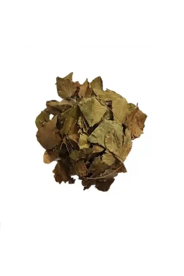 Sarmaşık Yaprağı Hedera Semen 100 gr, Derya Eren