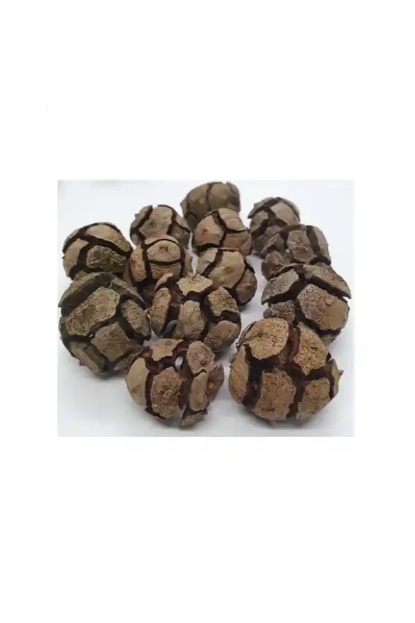 Selvi Servi Kozalağı 60 gr, Derya Eren