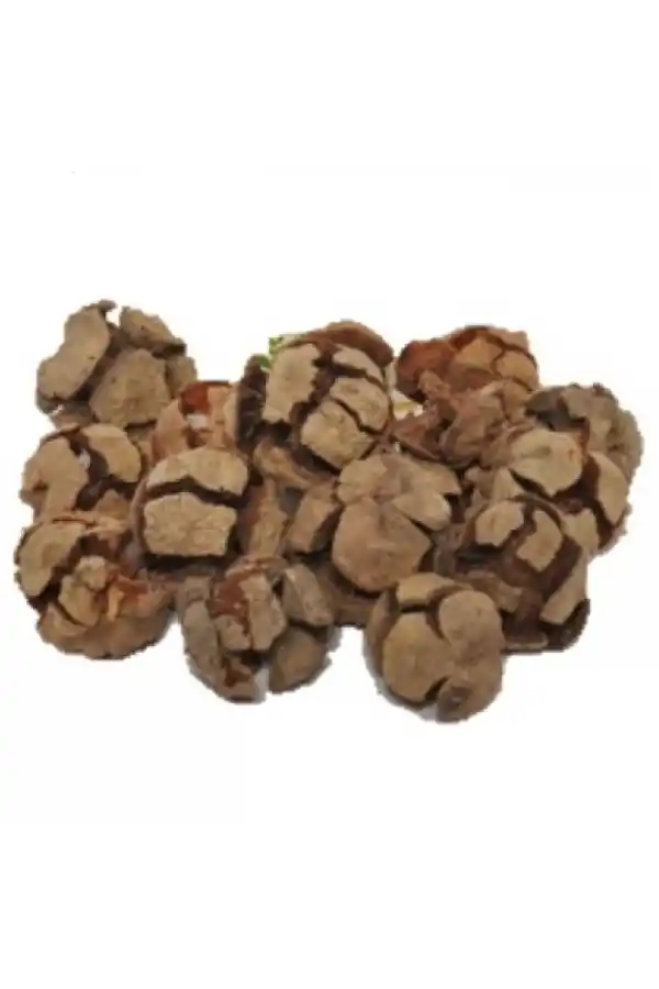 Selvi Servi Kozalağı 60 gr, Derya Eren