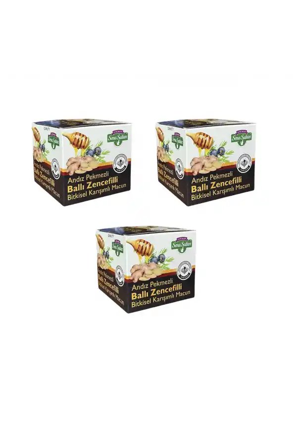 3 Adet Andız Pekmezli Ballı Zencefilli Karışımlı Macun 350 gr, Lokman Sena Sultan