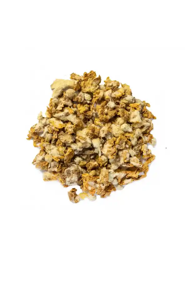 Sığır Kuyruğu Verbascum Thapsus 100 gr, Derya Eren