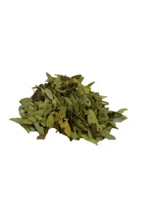 Üvez Yaprağı 20 Gr., Lokman Aktar