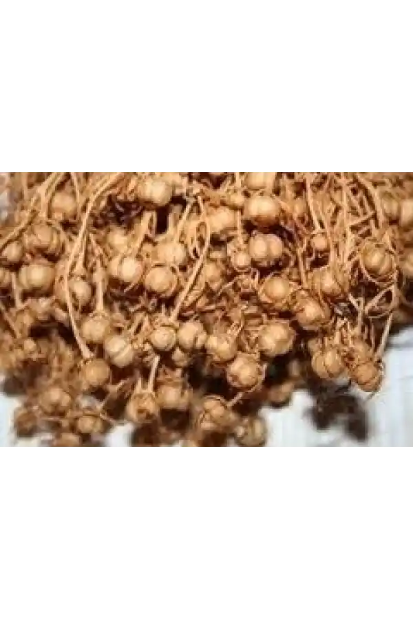 Üzerlik Otu 30 Gr, Lokman Aktar