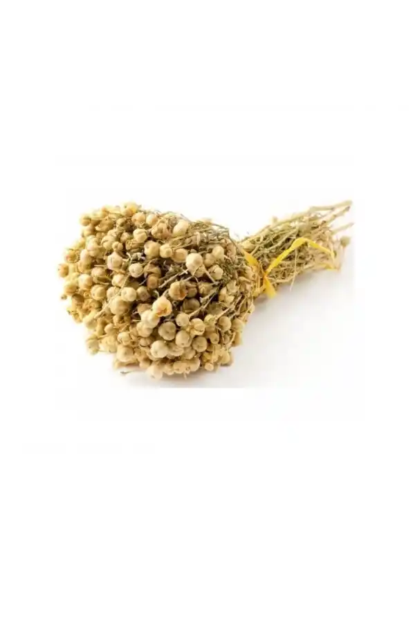 Üzerlik Otu Demet 1 Adet, Derya Eren