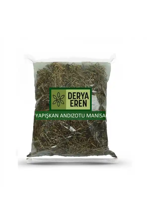 Yapışkan Andız Otu Manisa 500 gr, Derya Eren