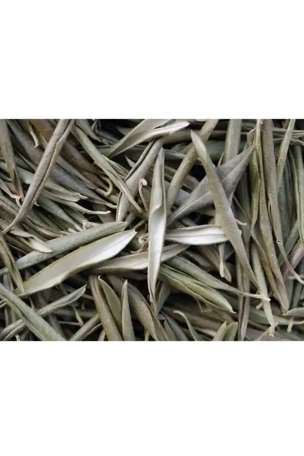 Zeytin Yaprağı 40 Gr, Lokman Aktar