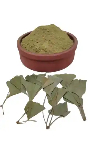 Gingko Biloba Yaprak Tozu 150 G, Lokman Aktar