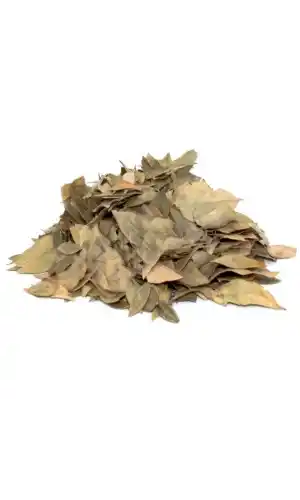 Mabet Ağacı Yaprağı 10 G, Lokman Aktar