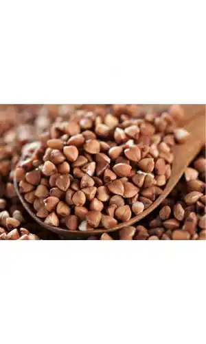 Greçka Karabuğday 500 gr, Lokman Aktar