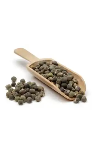 Bamya Tohumu 25 G, Lokman Aktar