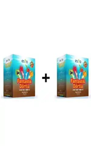 Esila Fantastik Dörtlü Yaz Karışık Süzen Poşet Çay 45li 2 kutu