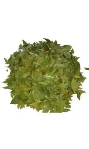 Mersin Yaprağı 1 Kg, Lokman Aktar