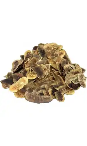 Açlık Otu 40 Gr (Paket-Bitki) 1Adet, Lokman Aktar