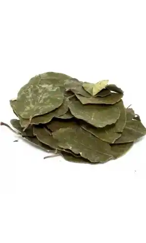 Avakado 25 Gr, Lokman Aktar