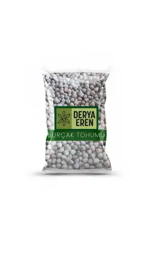 Burçak Tohumu Lathyrus 100 gr, Derya Eren