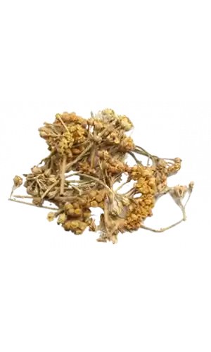 Civan Perçemi 30 Gr, Lokman Aktar