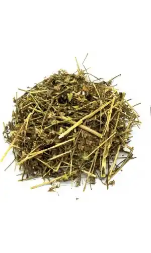 Çoban Çantası (Capsella Bursa-Pastoris) 25gr 1Adet, Lokman Aktar