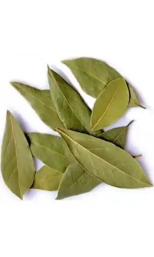 Defne Yaprağı 25 Gr, Lokman Aktar